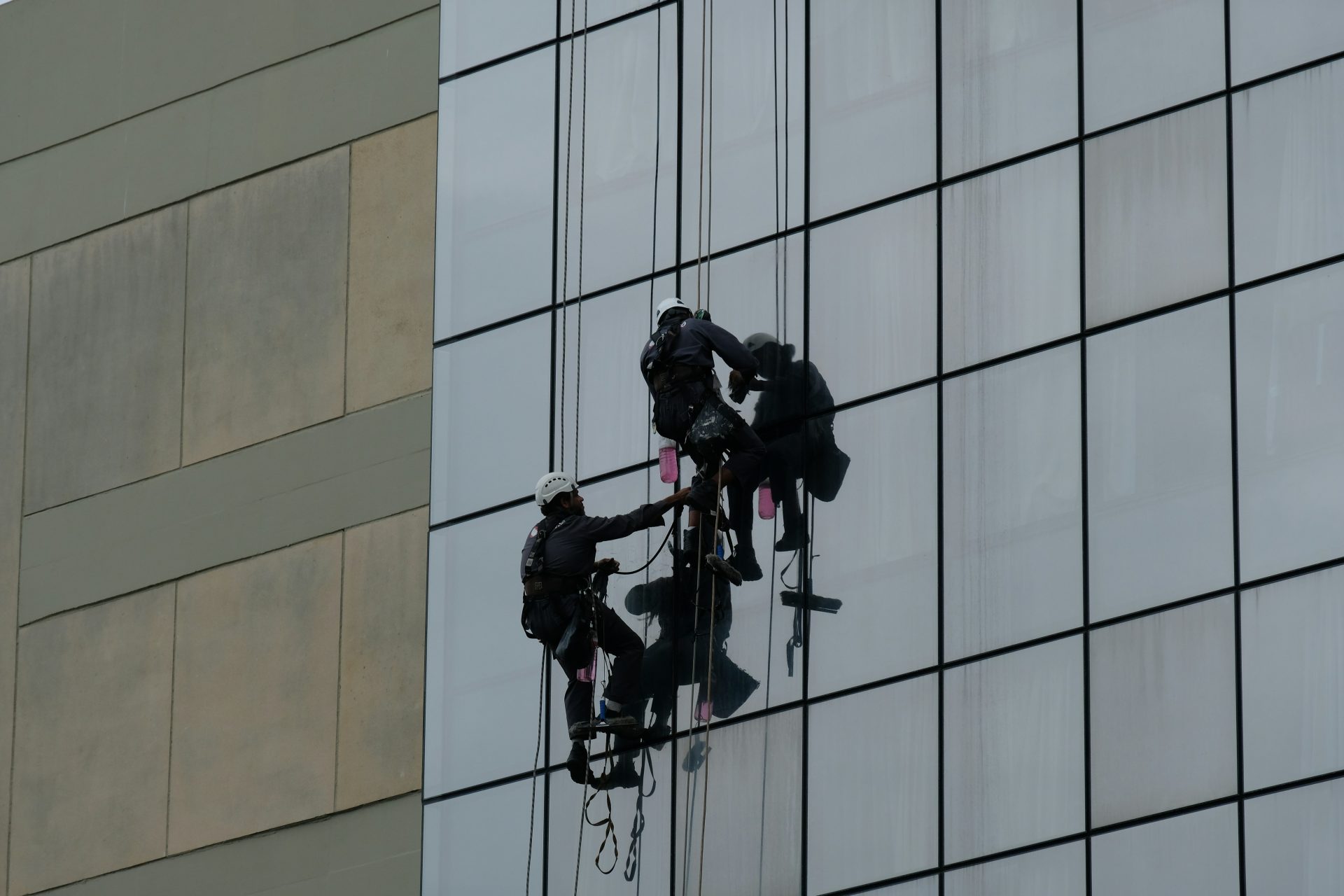 eine Gruppe von Menschen, die aus einem Hochhausfenster hängen